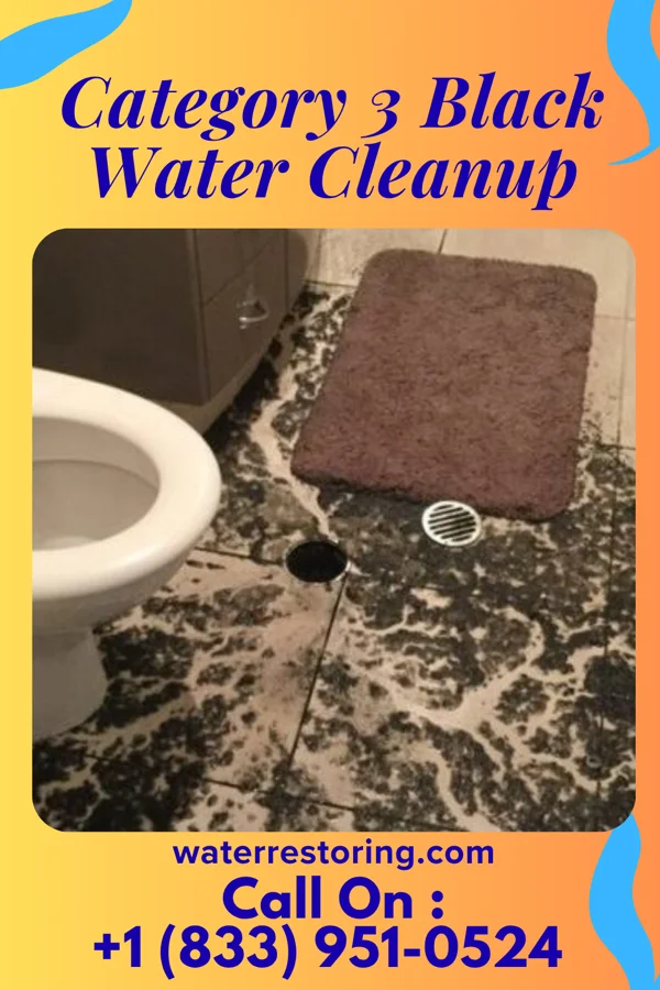 Category 3 Black Water Cleanup in Ringsted, IA