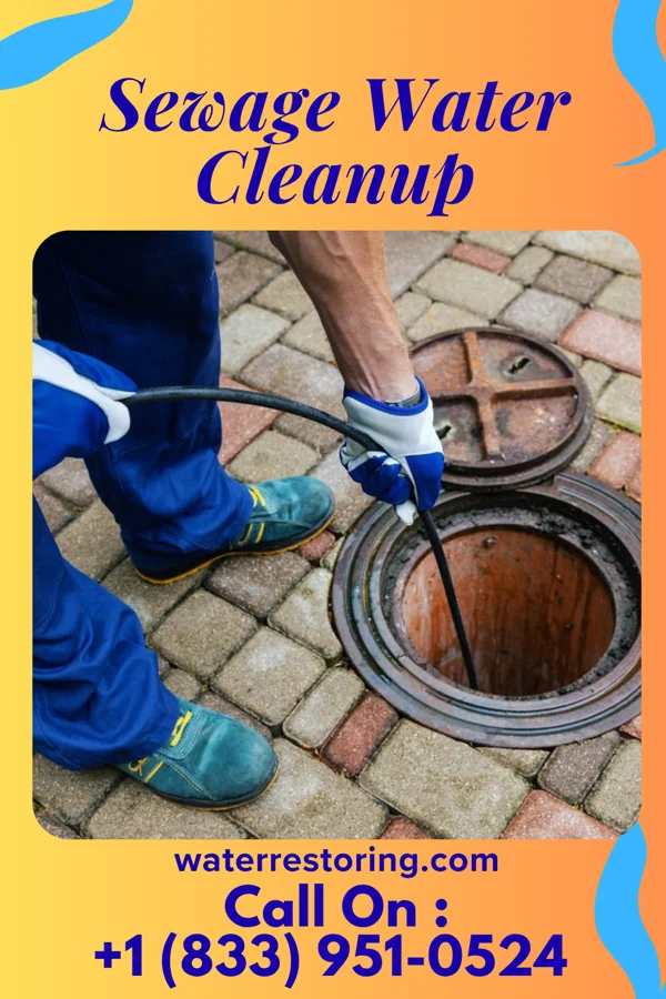 Sewage Water Cleanup in Ringsted, IA